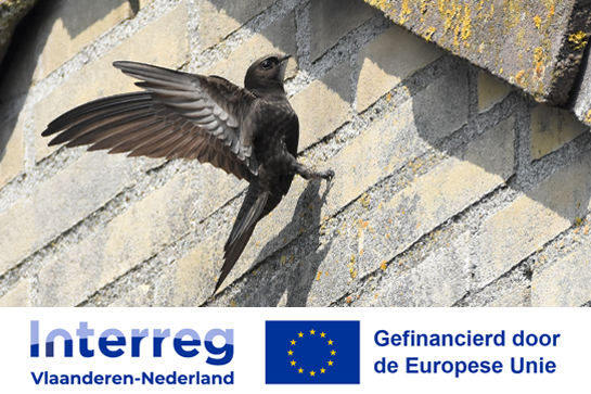 Interreg Vlaanderen-Nederland - Gefinancierd door de Europese Unie