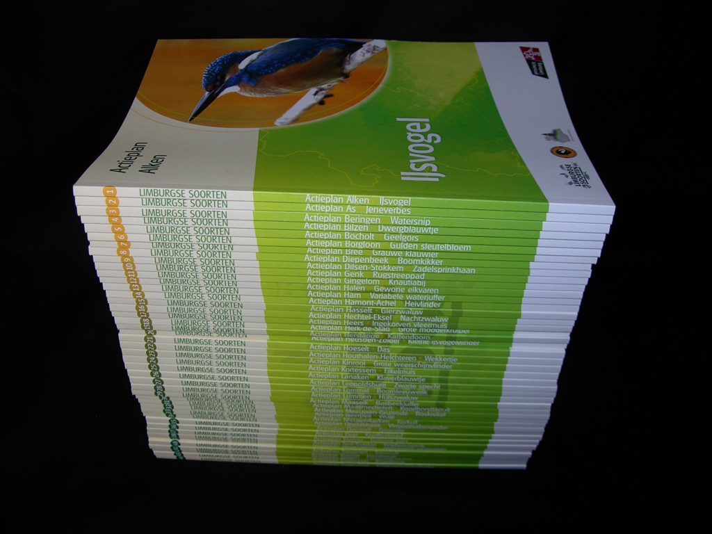actieplannengals_20120807_foto.jpg